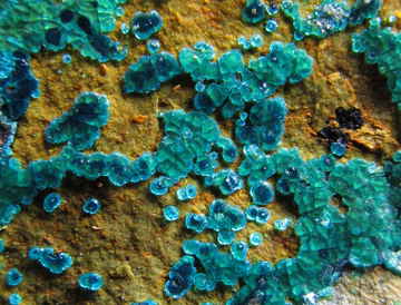 chrysocolla