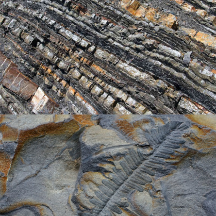 Integrated U-Pb and Re-Os geochronology of the magmatic, sedimentary and metamorphic history of Paleozoic terranes separated by the Thracian suture during Variscan orogeny