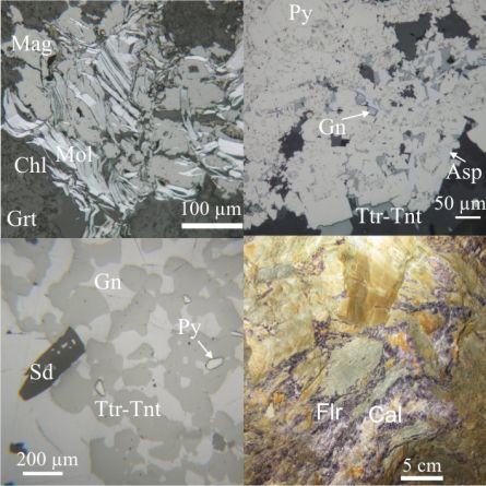 Вариски интрузивен магматизъм и свързаните с него орудявания в Западна Стара планина, България