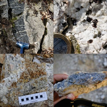 Петролого-геохимична характеристика и U-Pb геохронология на скали от южната половина на Рило-Западнородопския батолит – предпоставки за тяхната рудоносност